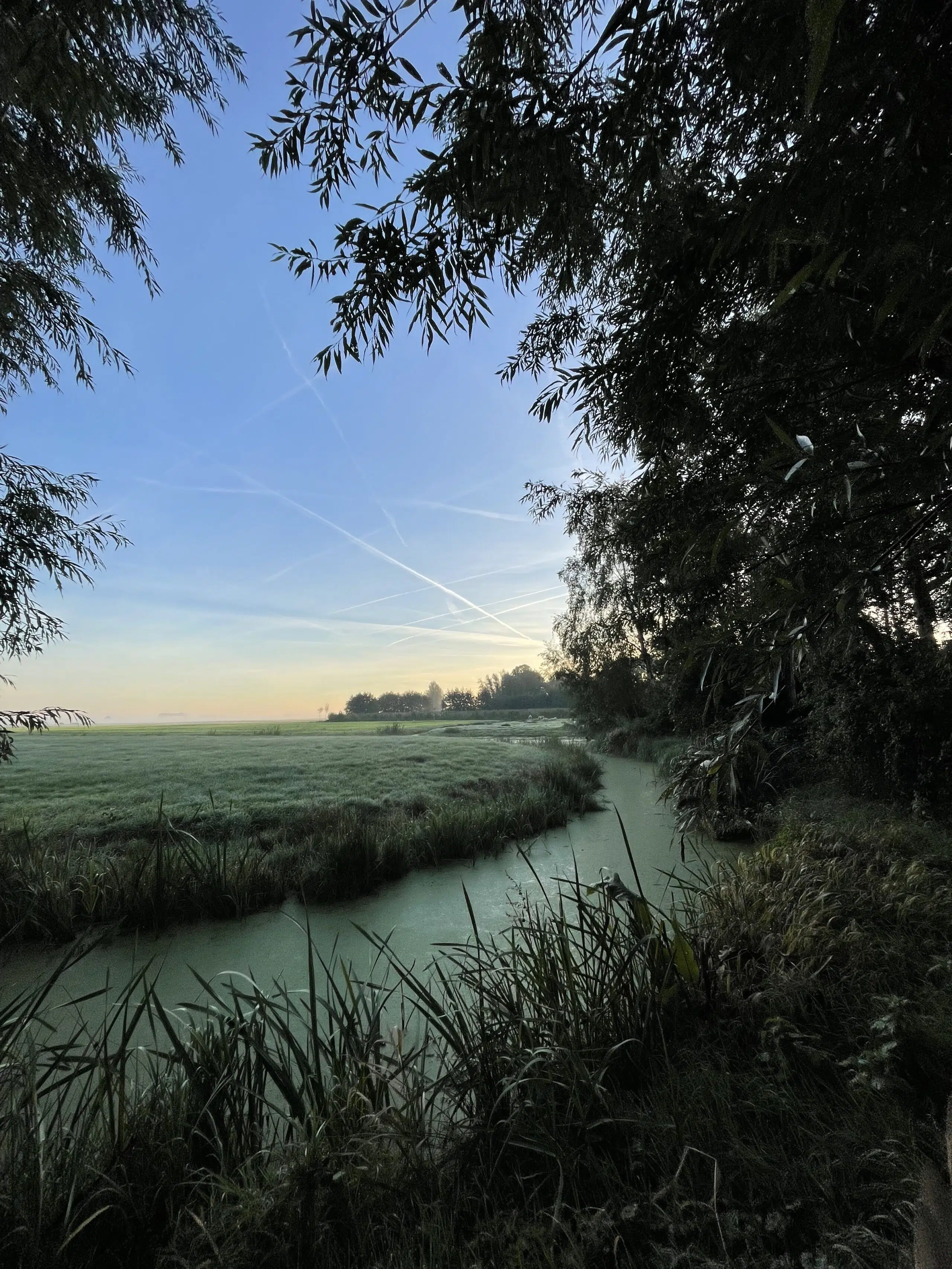 sloot tussen de weilanden met vliegtuigstrepen in de lucht