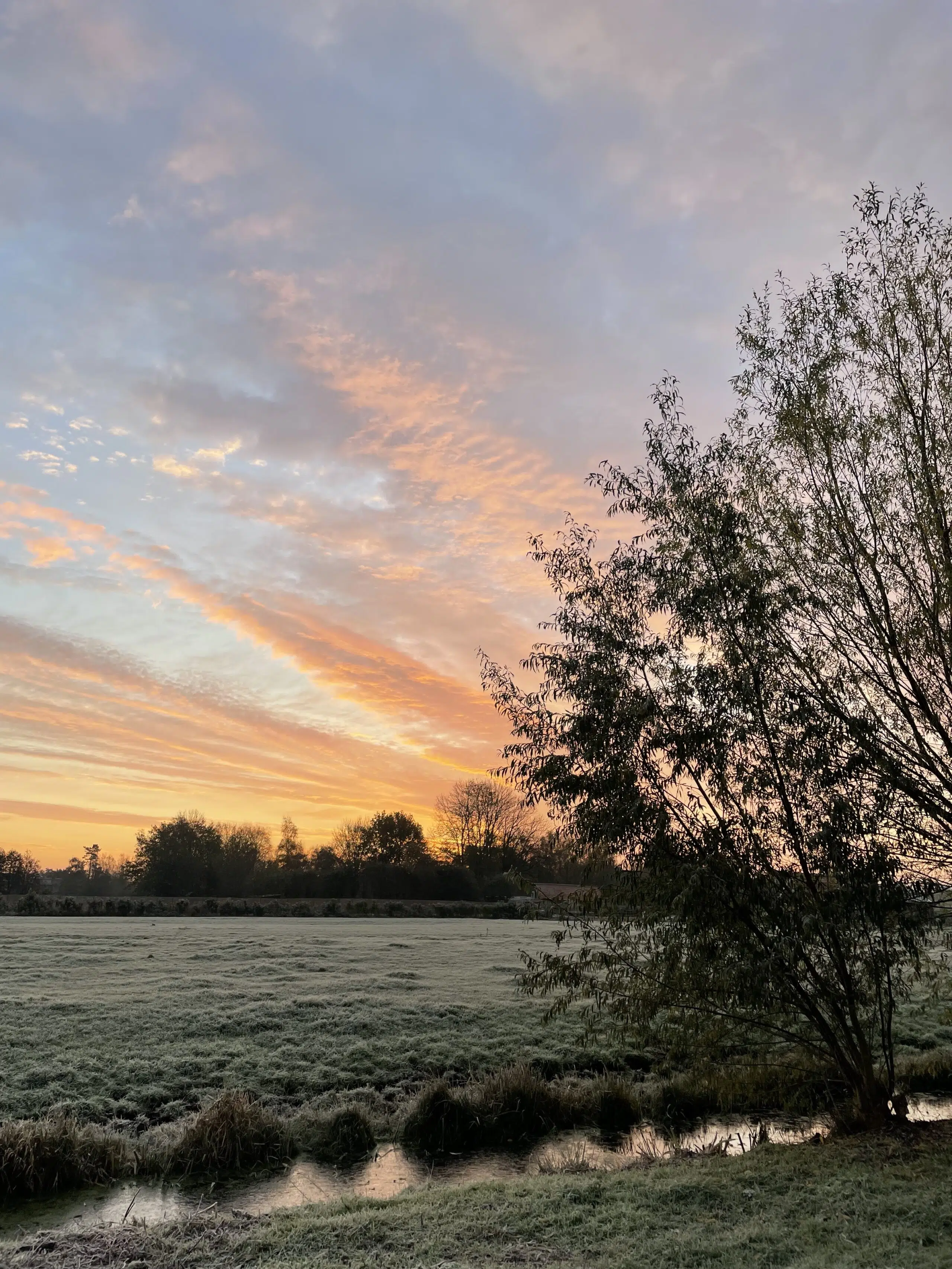 natuurfoto van de weilanden met rode strepen in de lucht en dauw op het gras
