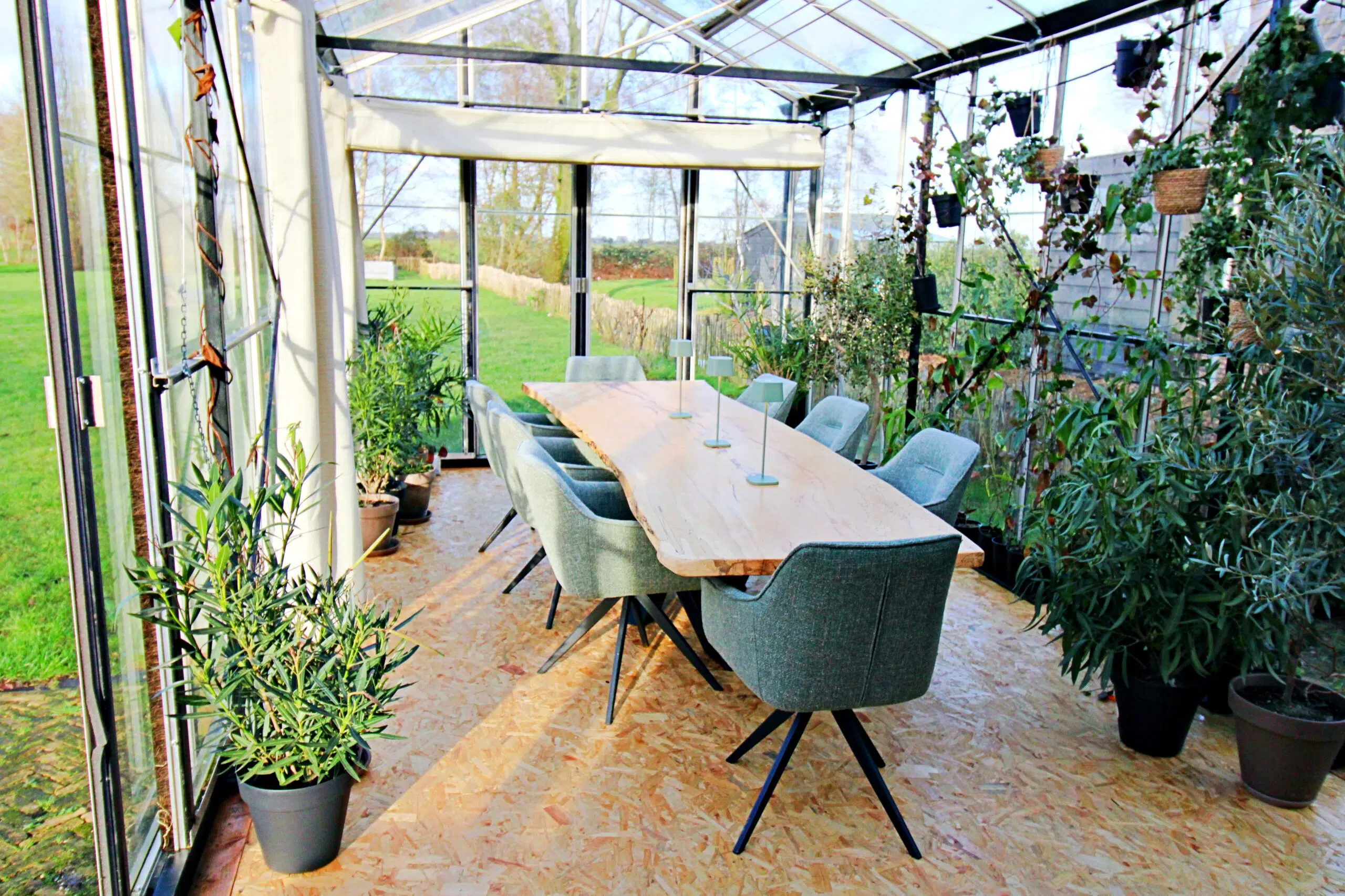 lange houten vergadertafel met acht groene comfortabele stoelen in een glazen kas tussen allerlei planten