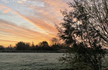 natuurfoto van de weilanden met rode strepen in de lucht en dauw op het gras