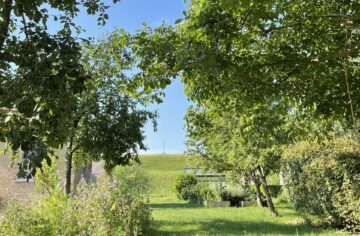 zonnig doorkijkje tussen de bomen naar de groene dijk
