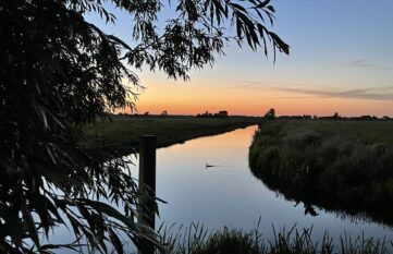 ondergaande zon in een sloot met een zwemmende eend